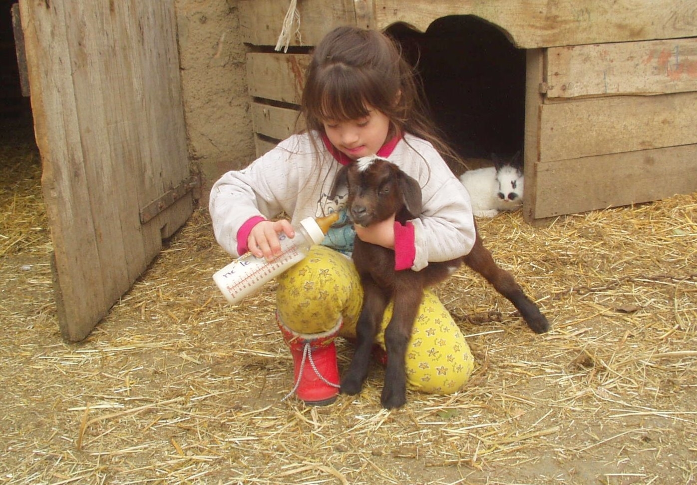 La ferme de Marie