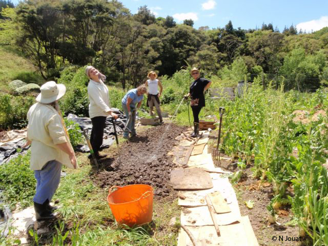 jardinage  wwoof en nouvelle zélande